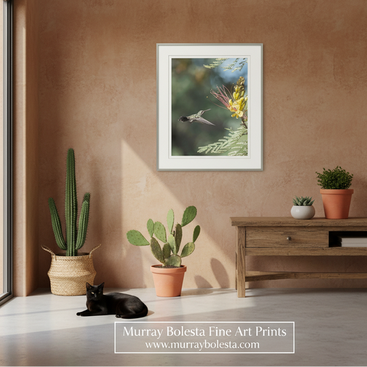 A framed art print featuring a hummingbird and yellow flowers hangs on a textured terracotta wall in a styled room with a wooden console table, potted cacti, and a black cat on the floor. A watermark at the bottom reads 'Murray Boleta Fine Art Prints'.