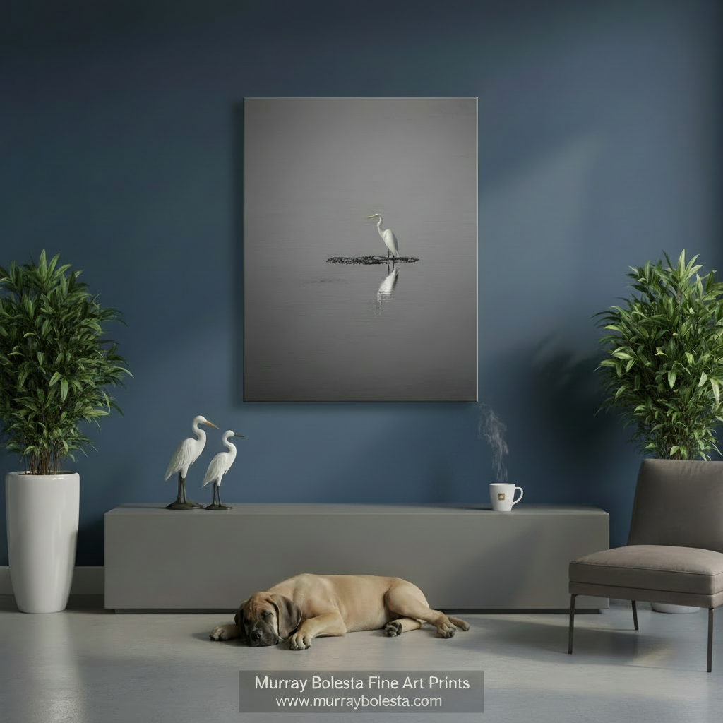 A white egret stands on a small island in a body of water, its reflection visible in the calm surface. Egret Bird Art | Minimalist Wildlife Decor Black & White Print by Murray Bolesta Block Island Rhode Island