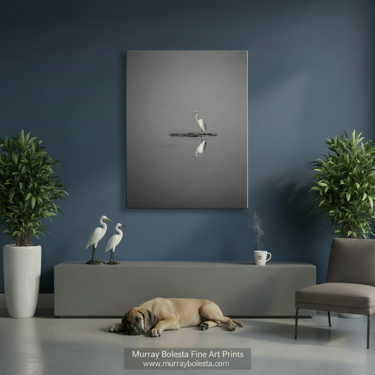 A white egret stands on a small island in a body of water, its reflection visible in the calm surface. Egret Bird Art | Minimalist Wildlife Decor Black & White Print by Murray Bolesta Block Island Rhode Island
