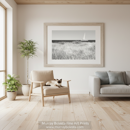 A framed black and white fine art print of a sailboat in a grassy field, displayed on a beige wall in a modern, sunlit living room with a sofa, armchair, and potted plants. Block Island sailing art by Murray Bolesta!