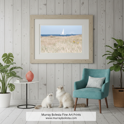 A sailboat with a white sail is sailing on the water, with a field of tall grass in the foreground and a blue sky above. Block Island Sailing Wall Art - Rhode Island Atlantic Ocean Beach Grass by Murray Bolesta!