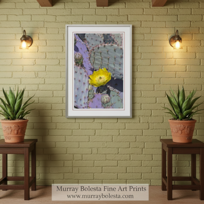 A framed photograph of a cactus plant with a yellow flower in the center, surrounded by purple and white cactus pads. Purple Santa Rita Cactus Flower Art | Prickly Pear Wall Decor by Murray Bolesta