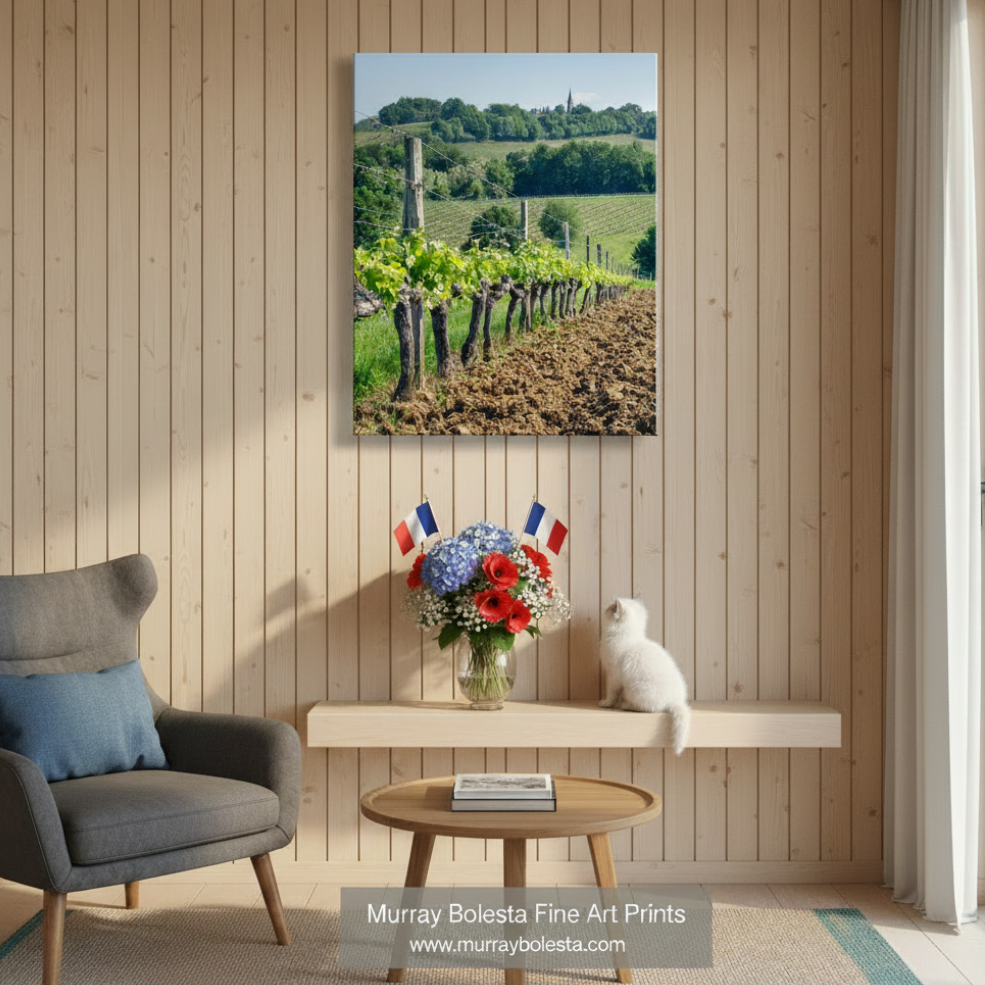 A row of grapevines with green leaves and small white flowers, surrounded by a dirt path and a church spire in the distance. France Vineyard Picture Bordeaux | Wine Country Landscape Art by Murray Bolesta