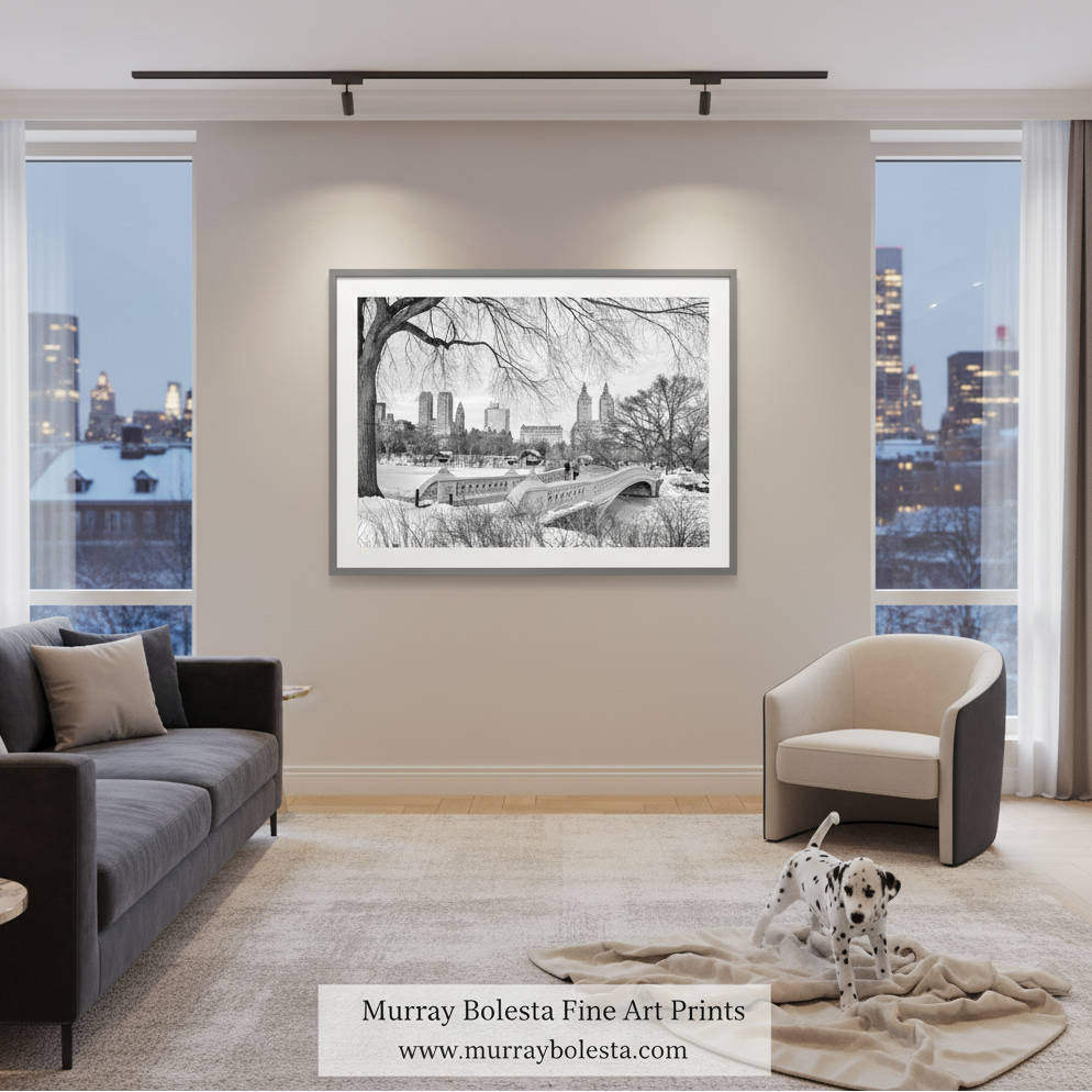 A black and white framed art print of Central Park is displayed on a beige wall in a modern living room setting with a gray sofa, a white accent chair, and a dalmatian dog on a rug. The text 'Murray Bolesta Fine Art Prints' is visible at the bottom.