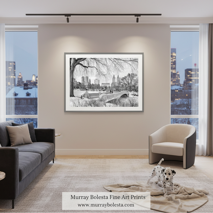 A black and white framed art print of Central Park is displayed on a beige wall in a modern living room setting with a gray sofa, a white accent chair, and a dalmatian dog on a rug. The text 'Murray Bolesta Fine Art Prints' is visible at the bottom.