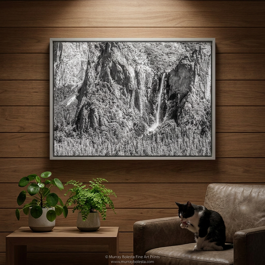 Bridal Veil Fall Yosemite National Park art print in black & white by Murray Bolesta!