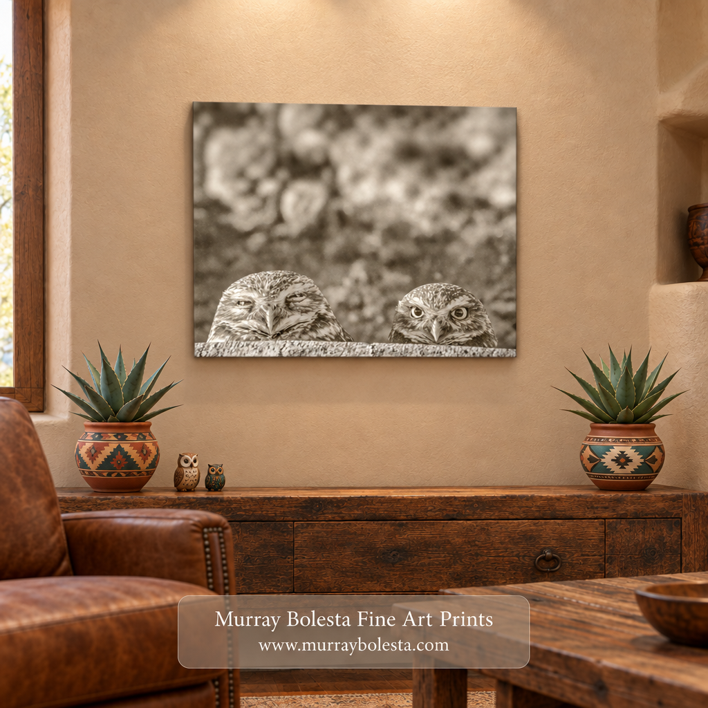 Burrowing owl canvas with colorful agave pots and two small owl figurines by Murray Bolesta Fine ARt Prints