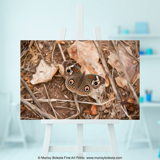Autumn Butterfly art print by Murray Bolesta. A Buckeye.