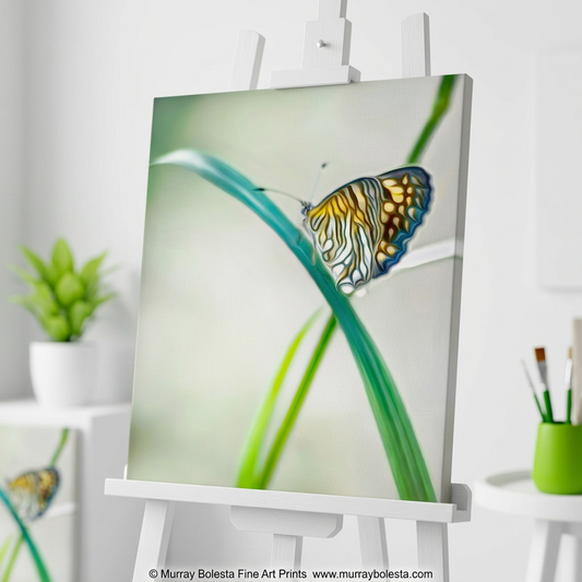 Butterfly on green leaf, southern Arizona, art print by Murray Bolesta