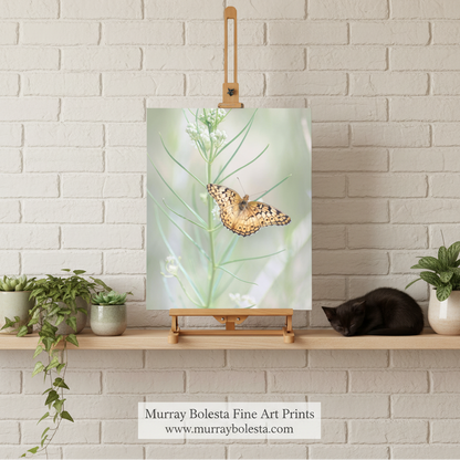 Fritillary Butterfly in Arizona! A vertical art print showing a butterfly on a green plant, displayed on a wooden easel against a white brick wall above a shelf with plants and a sleeping cat. A banner at the bottom reads 'Murray Bolesta Fine Art Prints'
