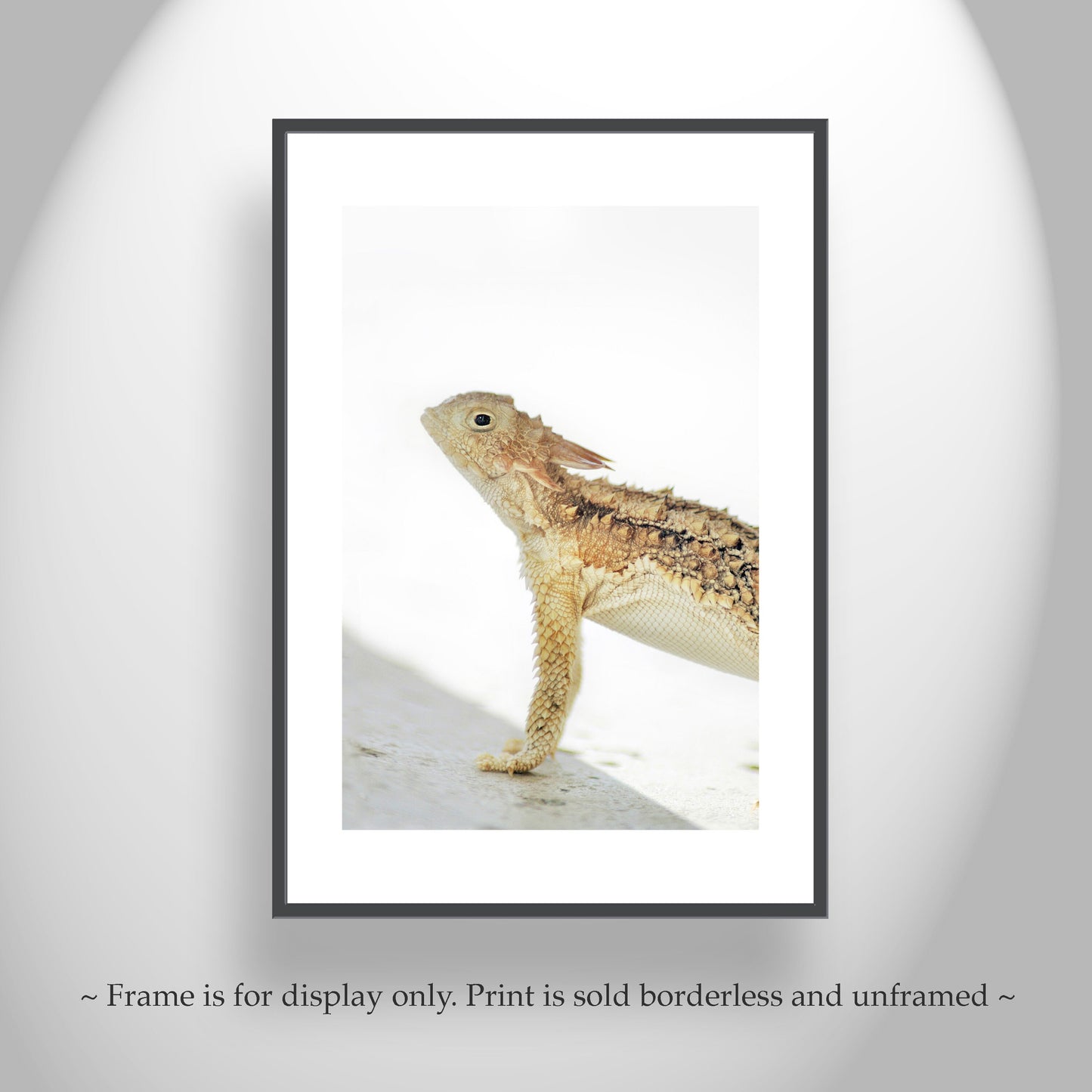 Horned Lizard Art Art Print | Minimalist Arizona Desert Reptile