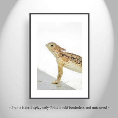 Horned Lizard Art Art Print | Minimalist Arizona Desert Reptile