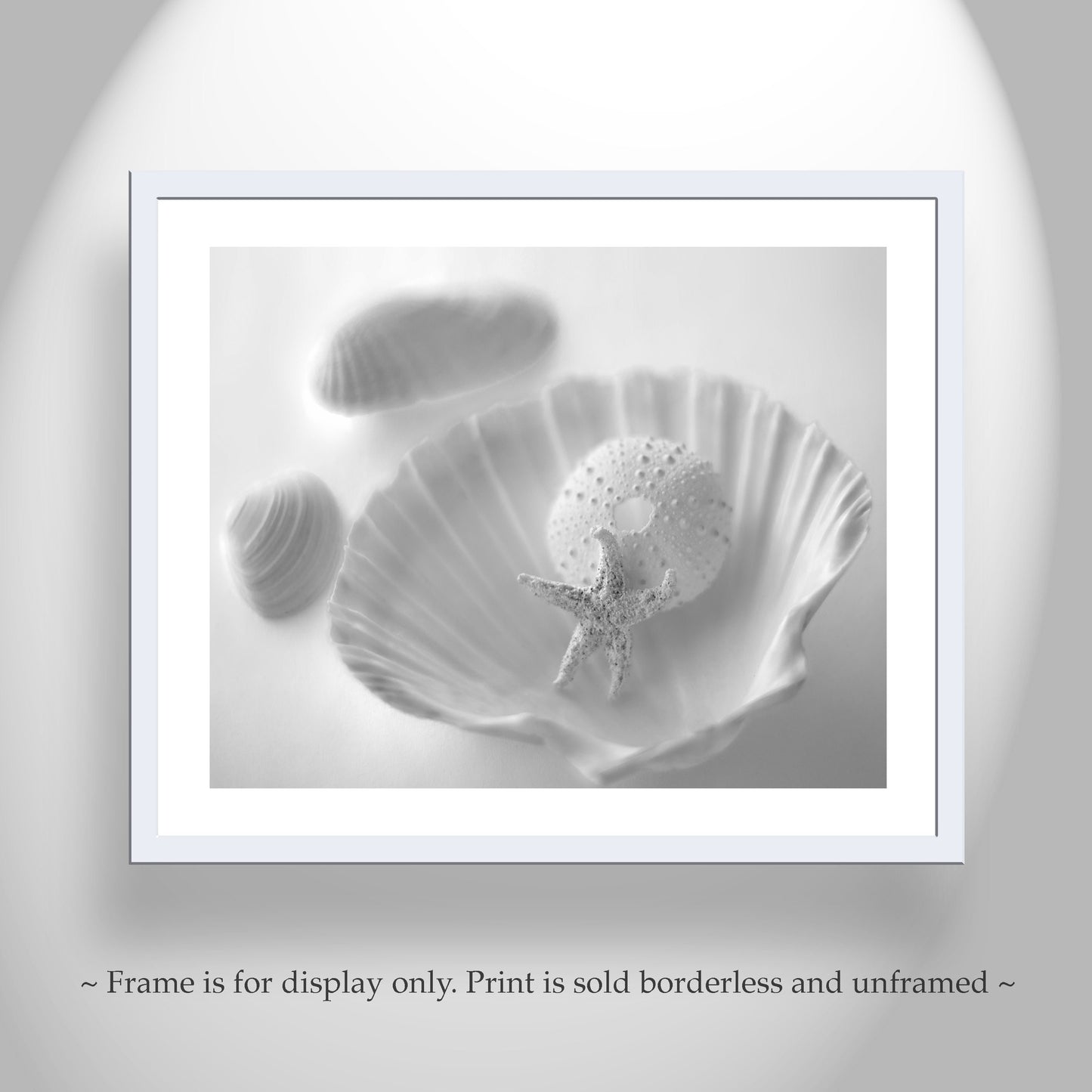 Minimalist Seashell and Starfish Art – Coastal Wall Print for Bath