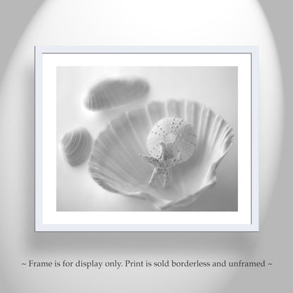 Minimalist Seashell and Starfish Art – Coastal Wall Print for Bath
