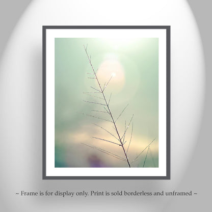 Minimalist Nature Art Print | Winter Frost on Grass | Serene Wall Decor