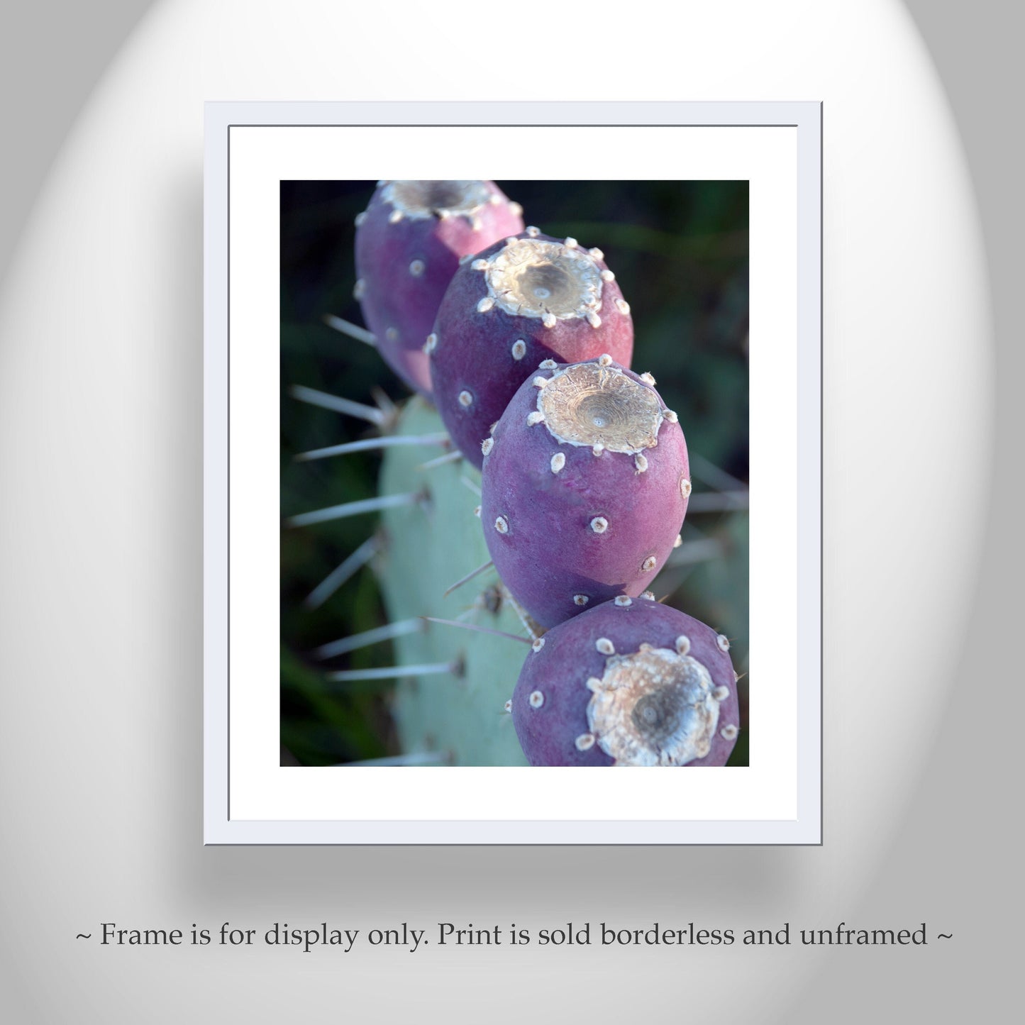 Purple Cactus Botanical Wall Art – Santa Rita Prickly Pear Art