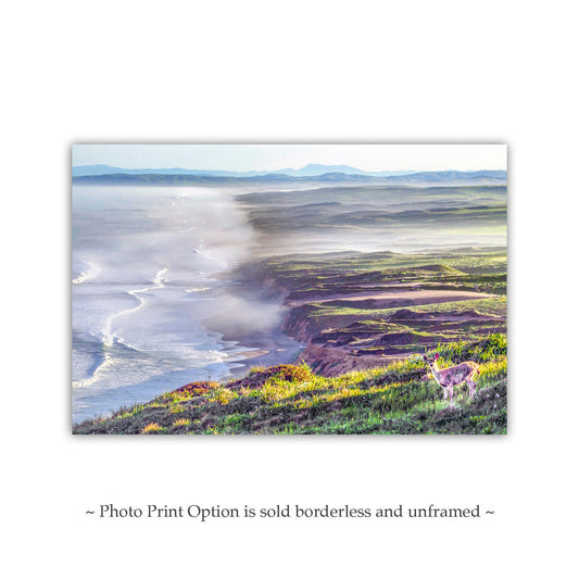 Point Reyes Print with Marin County Beach and Wild Deer