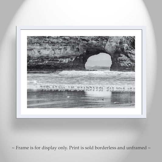 Santa Cruz California Beach Natural Bridge Sea Arch Print with Seabirds