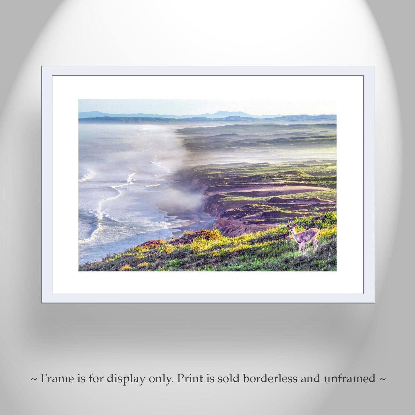 Point Reyes Print with Marin County Beach and Wild Deer