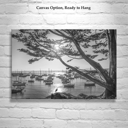 Monterey Bay Sailboat Yacht Harbor Art Print in Black and White