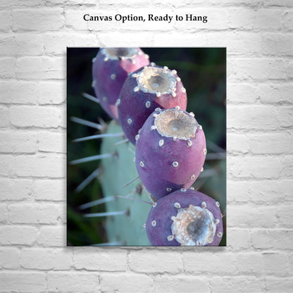 Purple Cactus Botanical Wall Art – Santa Rita Prickly Pear Art