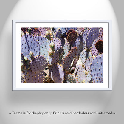 Purple Prickly Pear Cactus Art – Unique Desert Art for Home