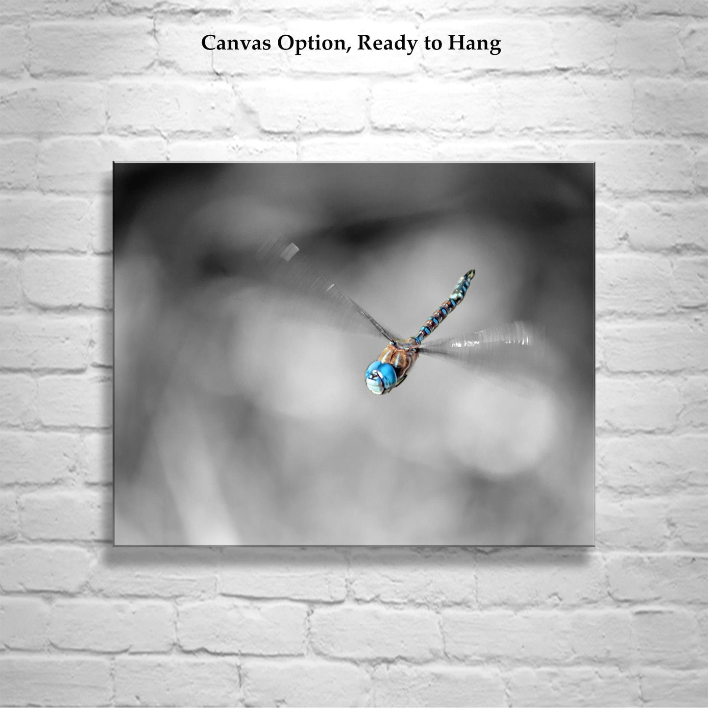 Flying Dragonfly Print | Black and White Insect Fine Art