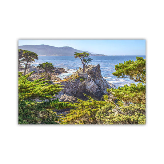 Lone Cypress Tree Carmel by the Sea Artwork at Pebble Beach