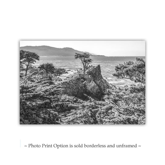 Lone Cypress Art Print at Pebble Beach California in Black & White