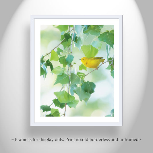 Yellow Warbler Bird Photo Nature Print in Pastel Green and Yellow