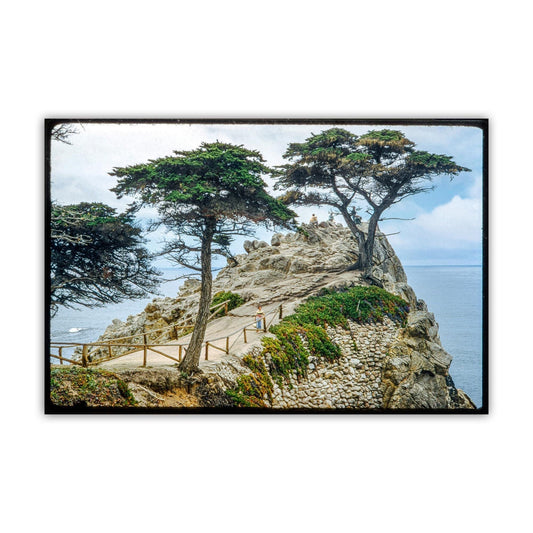 Carmel-by-the-Sea Photo – Lone Cypress Vintage Wall Art
