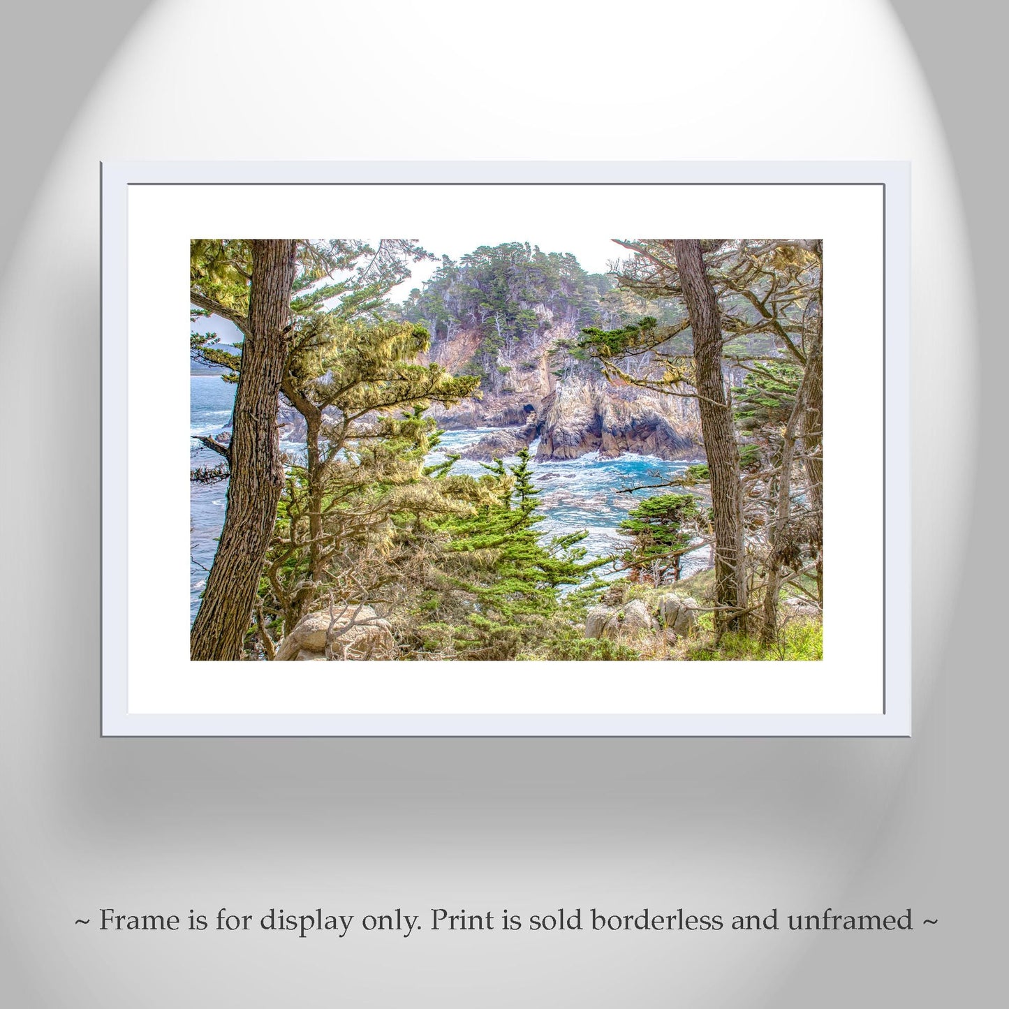 Point Lobos Art Print – Carmel by the Sea Monterey Cypress Trees