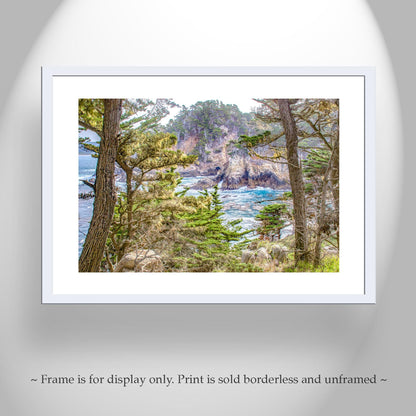 Point Lobos Art Print – Carmel by the Sea Monterey Cypress Trees