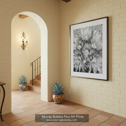 A close-up black and white image of a cluster of large, intricate flowers with delicate petals and centers. Cactus Flower Art as Unique Southwestern Wall Decor in B&W by Murray Bolesta
