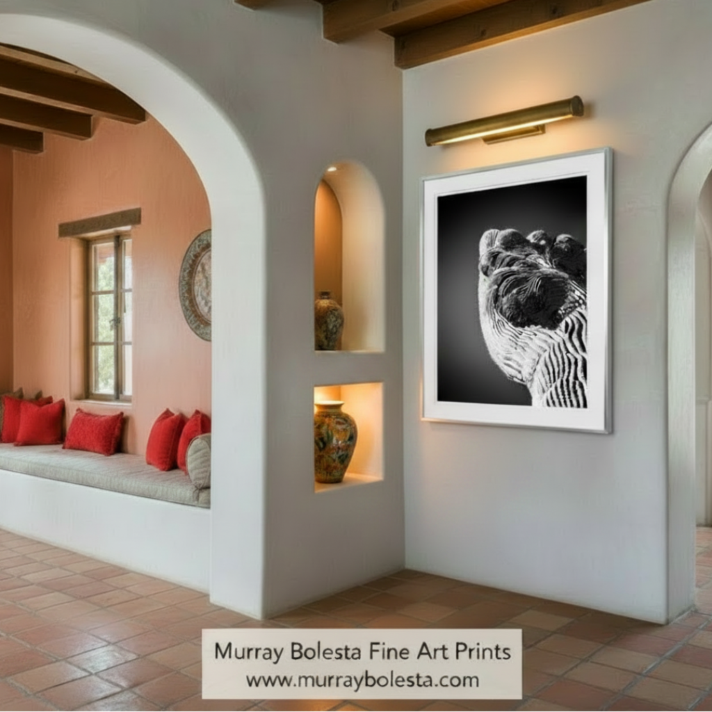 A close-up black and white image of a textured, striped object, possibly a piece of fabric or a sculpture, with a dark background. Crested Cactus Abstract Art in Black & White | Arizona Desert Decor by Murray Bolesta