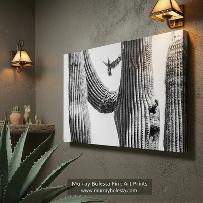 A bird is captured in mid-flight, soaring above a group of cacti in a striking black and white photograph. Arizona Woodpecker Art | Black & White Desert Cactus Bird Print by Murray Bolesta