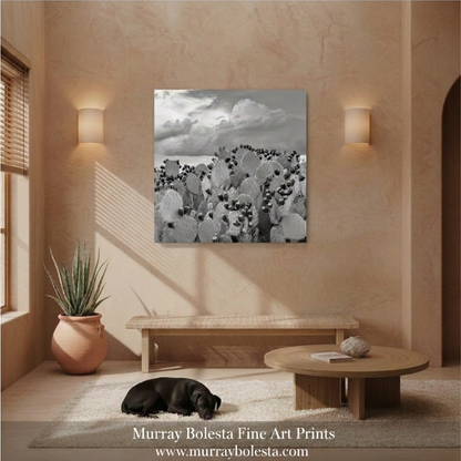 B&W cactus art by Murray Bolesta
