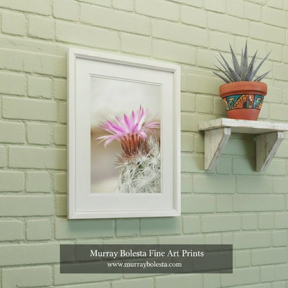 A close-up view of a vibrant pink cactus flower with long, sharp petals against a blurred, natural background. Pastel Cactus Flower Art | Arizona Desert Wildflower Wall Decor by Murray Bolesta