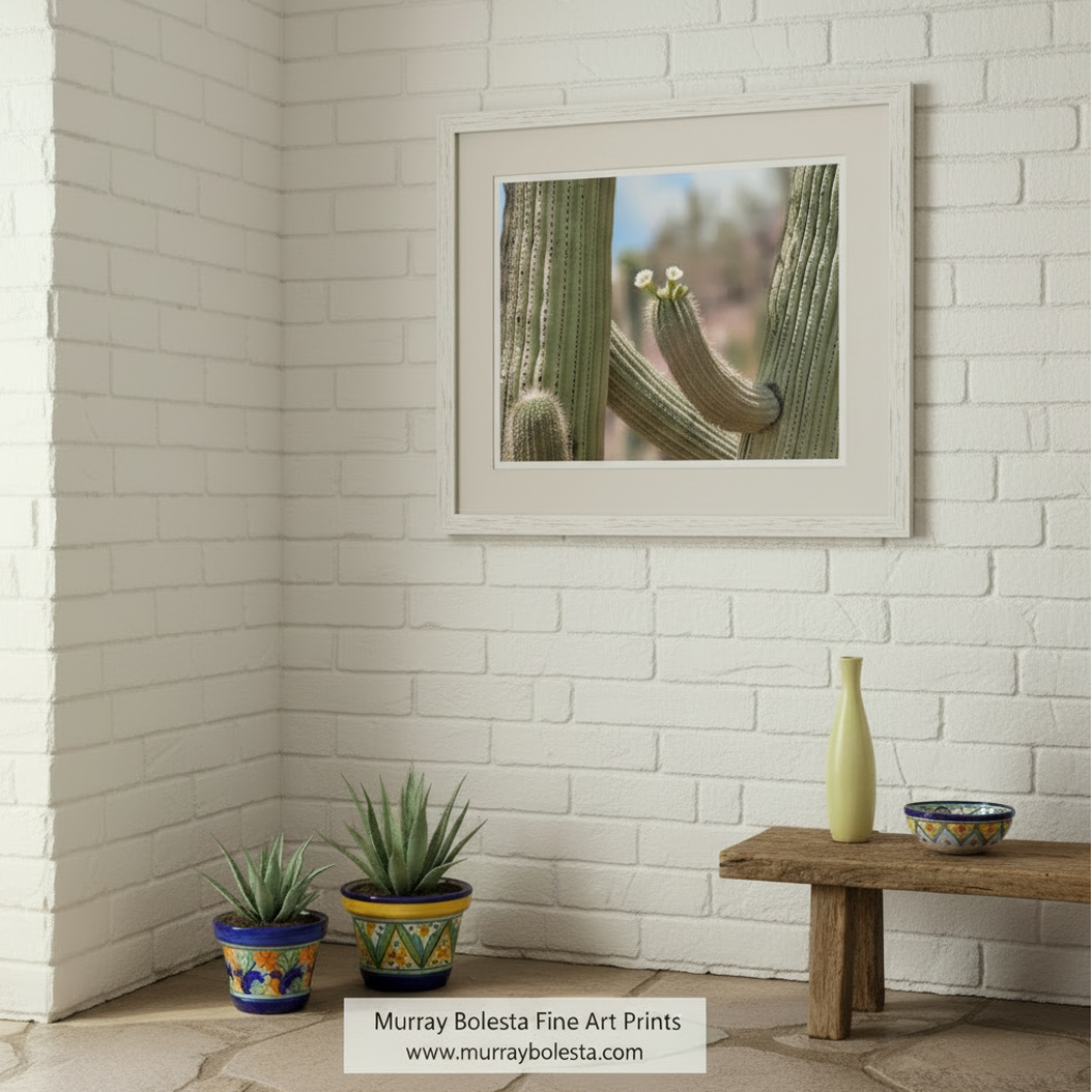 A close-up view of a cactus plant with two small white flowers blooming on its spiny green stems. Desert Cactus & Wildflower Art Print - Arizona Botanical Landscape by Murray Bolesta