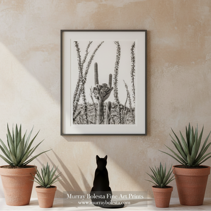Saguaro National Park East by Murray Bolesta! A framed black and white art print of a saguaro cactus is displayed on a textured beige wall above a black cat sitting on a shelf, flanked by potted succulents. A watermark for 'Murray Bolesta Fine Art Prints' is visible at the bottom.