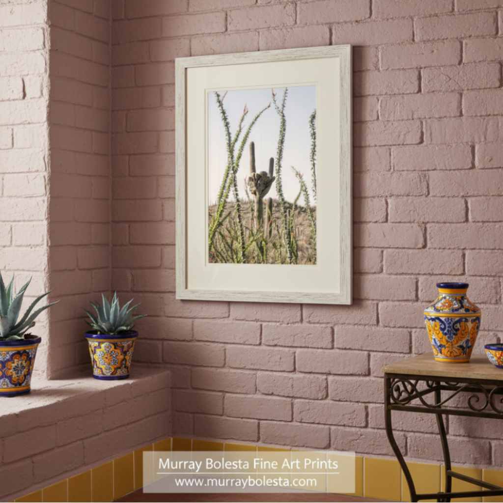 A desert landscape with a cactus plant in the foreground and a hill in the background. Crested Saguaro & Ocotillo Art Print - Arizona Desert Landscape by Murray Bolesta