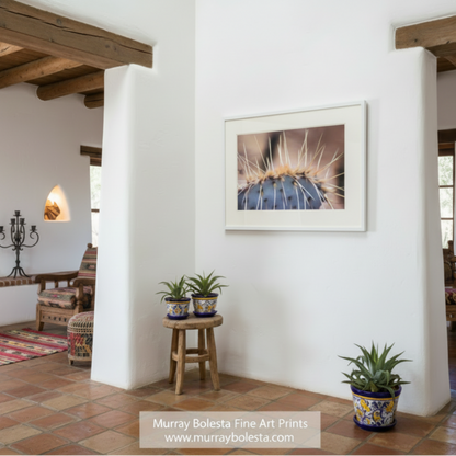 A framed art print of a close-up cactus photograph hangs on a white wall in a rustic home interior with terracotta tile floors, wooden beams, and potted plants. By Murray Bolesta.