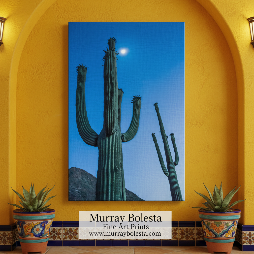 A tall cactus with a full moon in the sky, creating a serene and picturesque scene. Desert Cactus Moon Night Photography - Southwest Landscape Print by Murray Bolesta