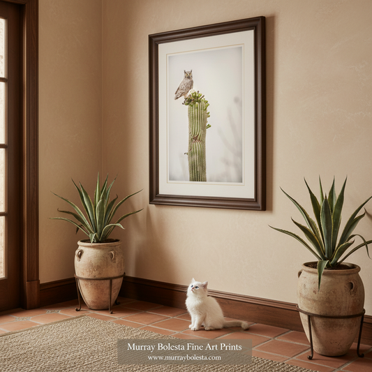 Ironwood Forest National Monument by Murray Bolesta! A framed art print depicting an owl perched on a saguaro cactus, displayed on a beige wall in a styled room with potted plants and a white cat sitting below.