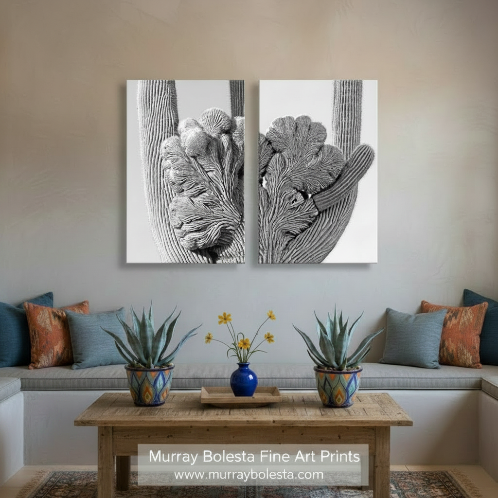 The image is a black and white photograph of two close-up views of a cactus plant, showcasing its intricate and textured surface. Black & White Desert Cactus Art in Tucson Arizona Set of 2 Prints by Murray Bolesta