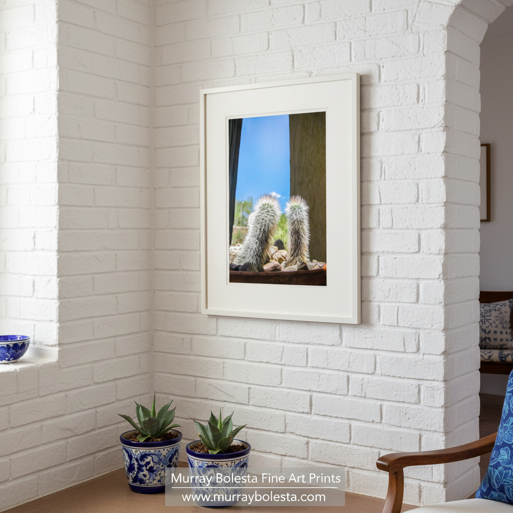 Two cacti with spines are sitting on a rock surface, with a clear blue sky visible through a window in the background. Tiny Cactus Art Print - Minimalist Southwest Botanical Photography by Murray Bolesta