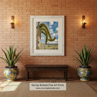 A large cactus with a curved, twisted shape stands prominently in the desert landscape, its spines and branches reaching out against a backdrop of mountains and a blue sky with fluffy white clouds. Desert Cactus Landscape | Tucson Arizona Southwest Wall Art Print by Murray Bolesta