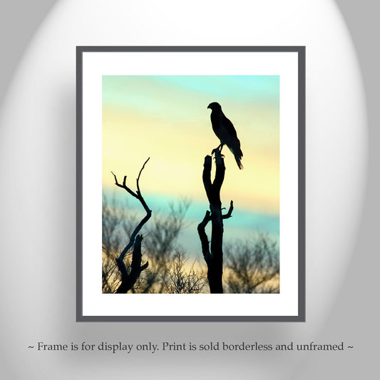 Desert Hawk Sunset Wall Art – Red Tail Hawk Silhouette Art Print