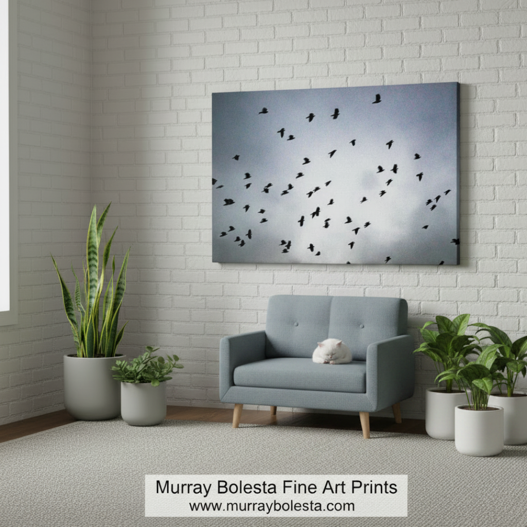 Canvas print of a flock of birds flying against a gray sky  - Surreal art by Murray Bolesta