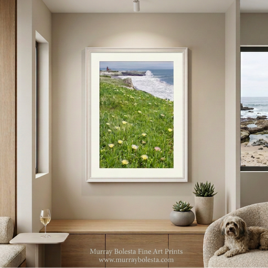 Santa Cruz California coast surfer's lighthouse art print by Murray Bolesta